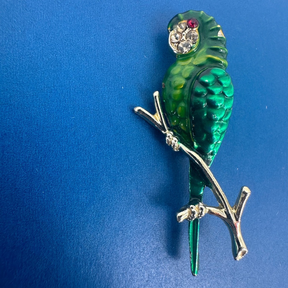 Parakeet Brooch